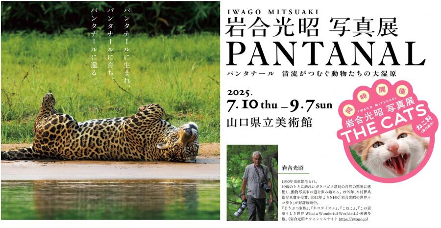 岩合光昭写真展PANTANALを駆け足でみてきました。